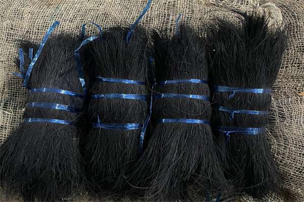 bristle fibre black 1 - AV Coir