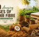 10 Amazing Uses of Coir Fibre You Should Know