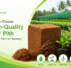 How to Choose High-Quality Coir Pith for Your Farm or Nursery